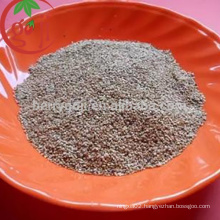 High Quality Goji Berry seeds for growing plants